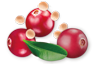Crispy Cranberry