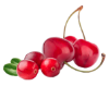 Kirsch-Cranberry